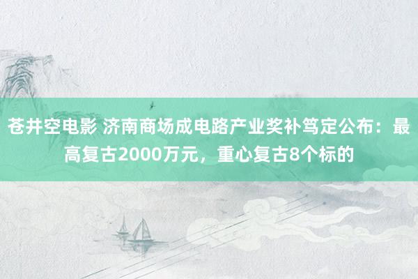 苍井空电影 济南商场成电路产业奖补笃定公布：最高复古2000万元，重心复古8个标的