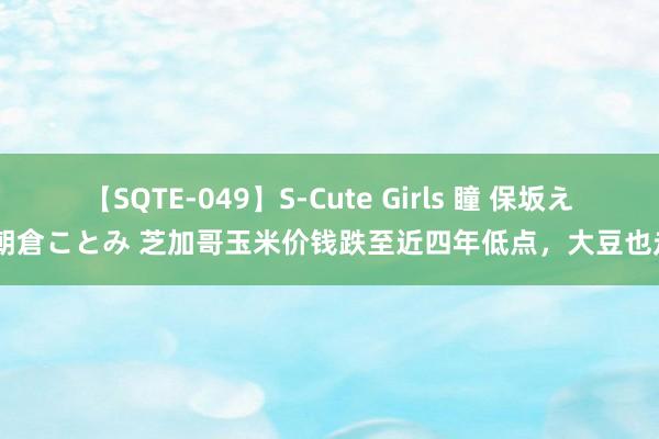 【SQTE-049】S-Cute Girls 瞳 保坂えり 朝倉ことみ 芝加哥玉米价钱跌至近四年低点，大豆也走弱