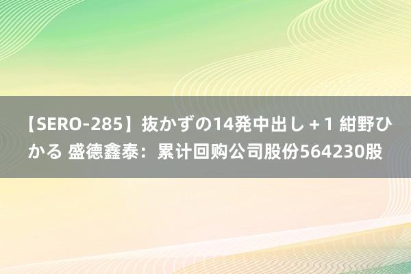 【SERO-285】抜かずの14発中出し＋1 紺野ひかる 盛德鑫泰：累计回购公司股份564230股