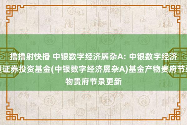 撸撸射快播 中银数字经济羼杂A: 中银数字经济羼杂型证券投资基金(中银数字经济羼杂A)基金产物贵府节录更新