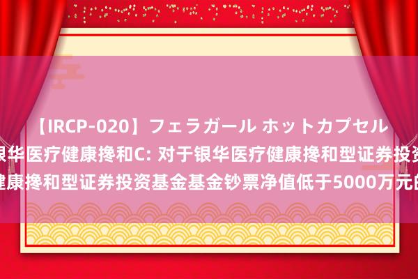 【IRCP-020】フェラガール ホットカプセル5 银华医疗健康搀和A,银华医疗健康搀和C: 对于银华医疗健康搀和型证券投资基金基金钞票净值低于5000万元的教唆性公告