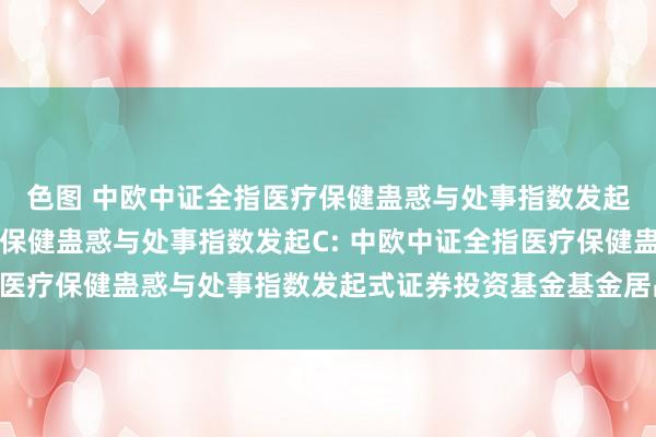 色图 中欧中证全指医疗保健蛊惑与处事指数发起A,中欧中证全指医疗保健蛊惑与处事指数发起C: 中欧中证全指医疗保健蛊惑与处事指数发起式证券投资基金基金居品费力概要更新