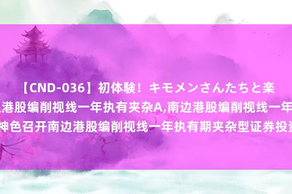 【CND-036】初体験！キモメンさんたちと楽しいセックス 瞳 南边港股编削视线一年执有夹杂A,南边港股编削视线一年执有夹杂C: 对于以通信神色召开南边港股编削视线一年执有期夹杂型证券投资基金基金份额执有东谈主大会的第二次请示性公告