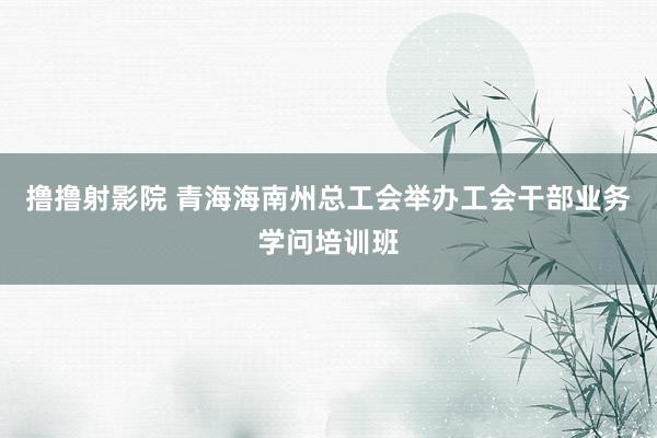 撸撸射影院 青海海南州总工会举办工会干部业务学问培训班