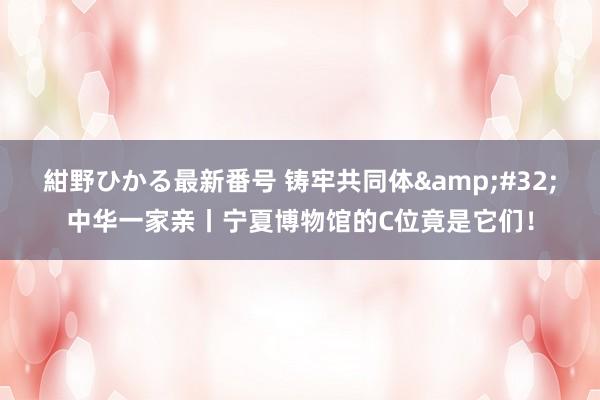 紺野ひかる最新番号 铸牢共同体&#32;中华一家亲丨宁夏博物馆的C位竟是它们！