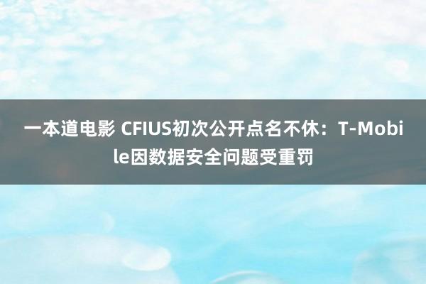 一本道电影 CFIUS初次公开点名不休：T-Mobile因数据安全问题受重罚