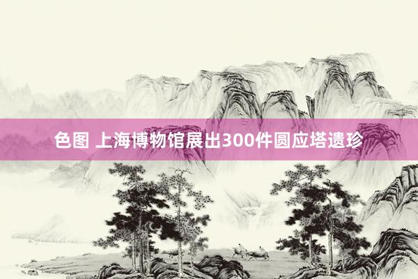 色图 上海博物馆展出300件圆应塔遗珍