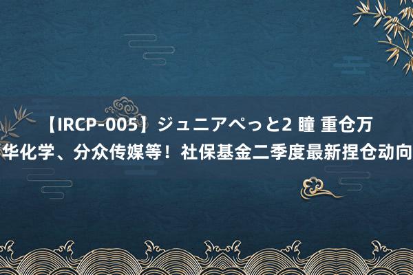 【IRCP-005】ジュニアぺっと2 瞳 重仓万华化学、分众传媒等！社保基金二季度最新捏仓动向