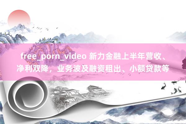 free_porn_video 新力金融上半年营收、净利双降，业务波及融资租出、小额贷款等