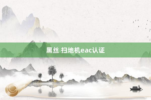 黑丝 扫地机eac认证