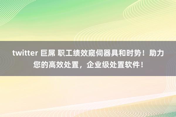 twitter 巨屌 职工绩效窥伺器具和时势！助力您的高效处置，企业级处置软件！