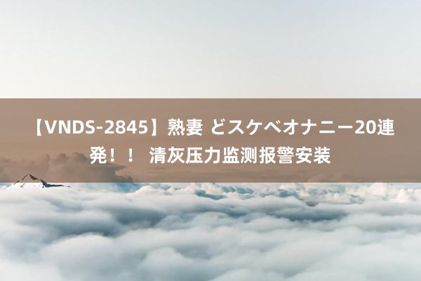 【VNDS-2845】熟妻 どスケベオナニー20連発！！ 清灰压力监测报警安装