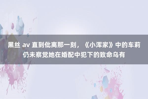 黑丝 av 直到仳离那一刻，《小浑家》中的车莉仍未察觉她在婚配中犯下的致命乌有