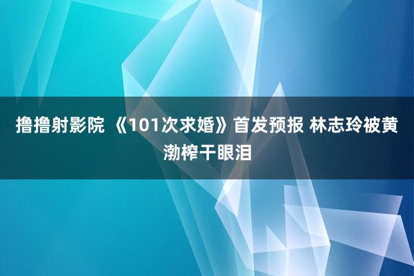 撸撸射影院 《101次求婚》首发预报 林志玲被黄渤榨干眼泪