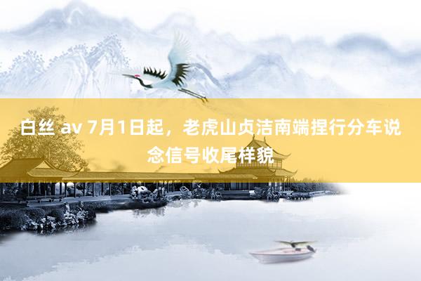 白丝 av 7月1日起，老虎山贞洁南端捏行分车说念信号收尾样貌