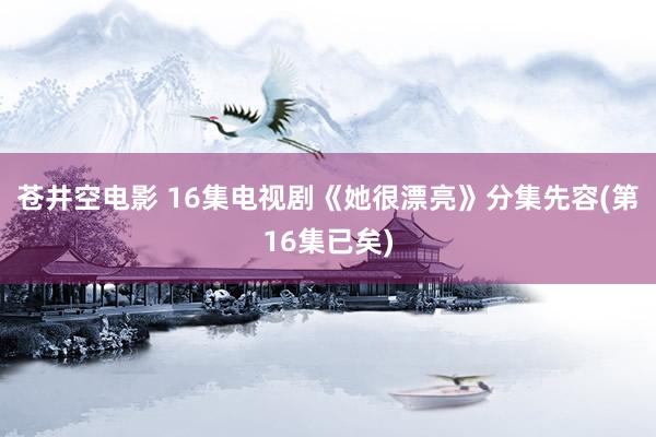 苍井空电影 16集电视剧《她很漂亮》分集先容(第16集已矣)